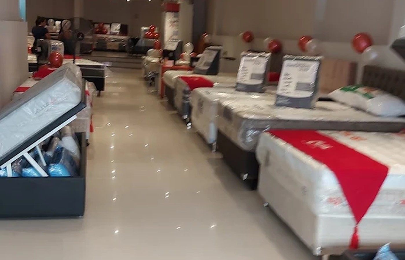 Showroom — Magé